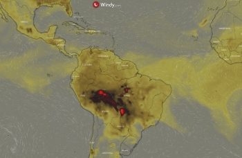 apopsilosi tropikou dasous amazonios 3