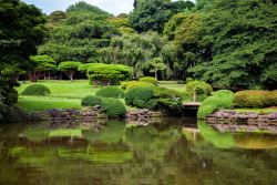 parko shinjuku gyoen national garden axiotheata tokyo 04