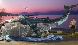 Φάλαινα που «τρώει» πλαστικά μπουκάλια και τα ανακυκλώνει ζει στο Αίγιο!