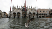 Νύχτα καταστροφής με τη χειρότερη πλημμυρίδα των τελευταίων 50 ετών στη Βενετία