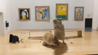 The Gerbil Museum: Ένα μουσείο για χάμστερ στο Λονδίνο