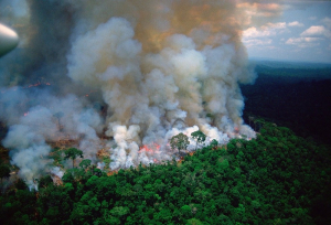 Πάνω από 2.500 εστίες φωτιάς στη ζούγκλα του Αμαζονίου