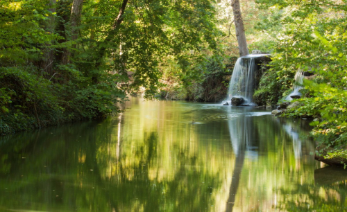 Tο περισσότερο πράσινο σχετίζεται με χαμηλότερα ποσοστά Covid-19