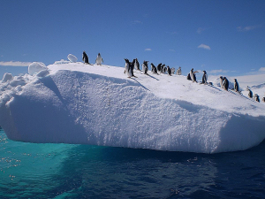 Για πρώτη φορά η θερμοκρασία στην Ανταρκτική ξεπέρασε τους 20 βαθμούς